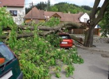 Kwikfynd Tree Cutting Services
twomile