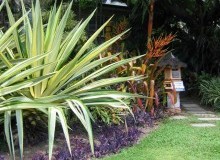 Kwikfynd Tropical Landscaping
twomile