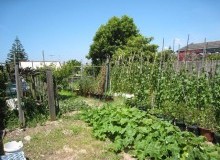 Kwikfynd Vegetable Gardens
twomile